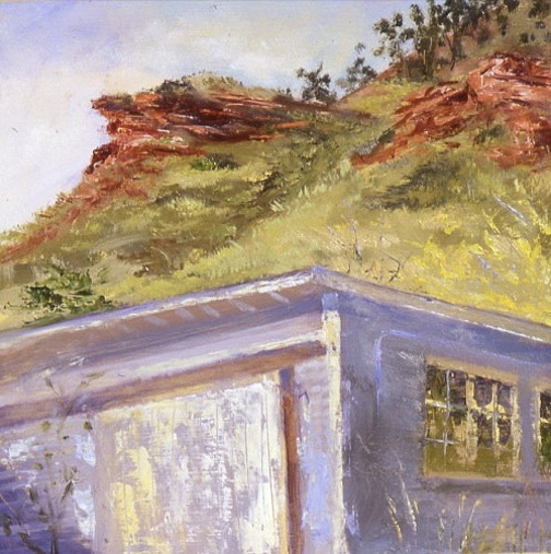 fred's shed 16x16